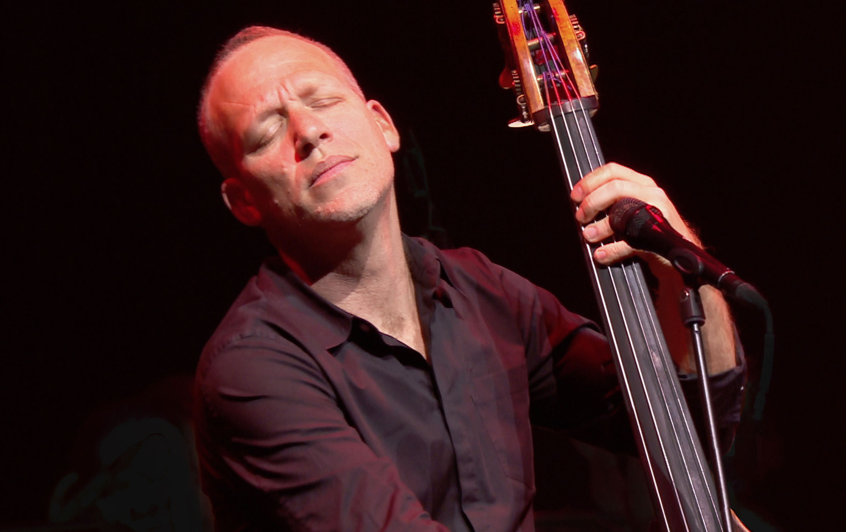 An Evening with Avishai Cohen in Tel Aviv | mezzo.tv 