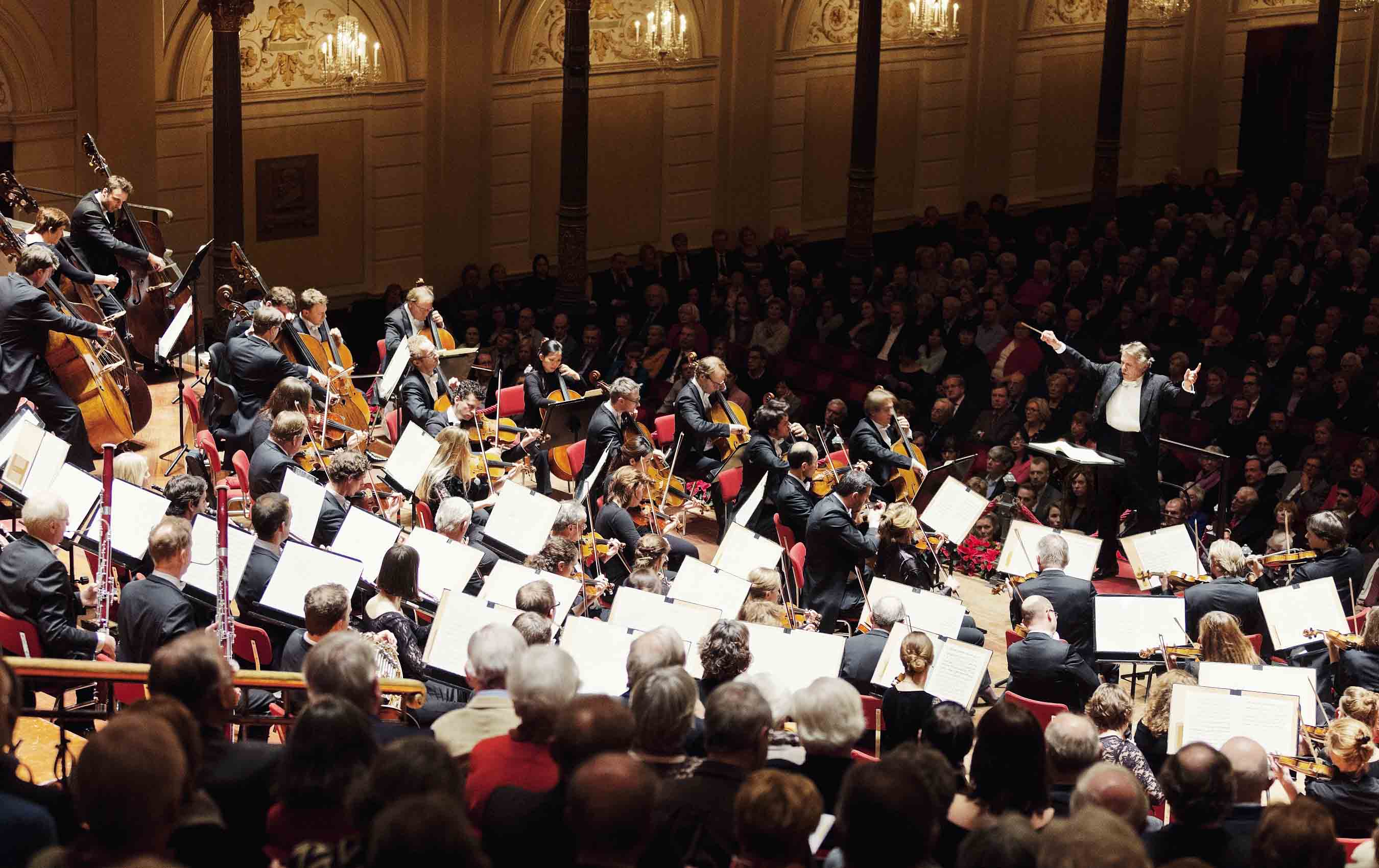 Radio symphony orchestra. Королевский оркестр Концертгебау. Оркестр баварского радио. Балтийский симфонический оркестр. Тбилиси симфонический оркестр.